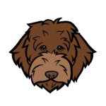 Sunstrider Community Hub